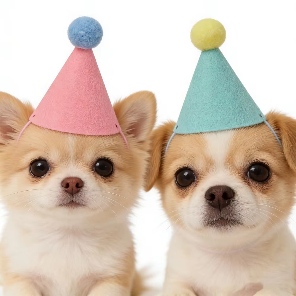 6/12 stuks schattige mini-hoed - Party Hat Cone recensie en prijs