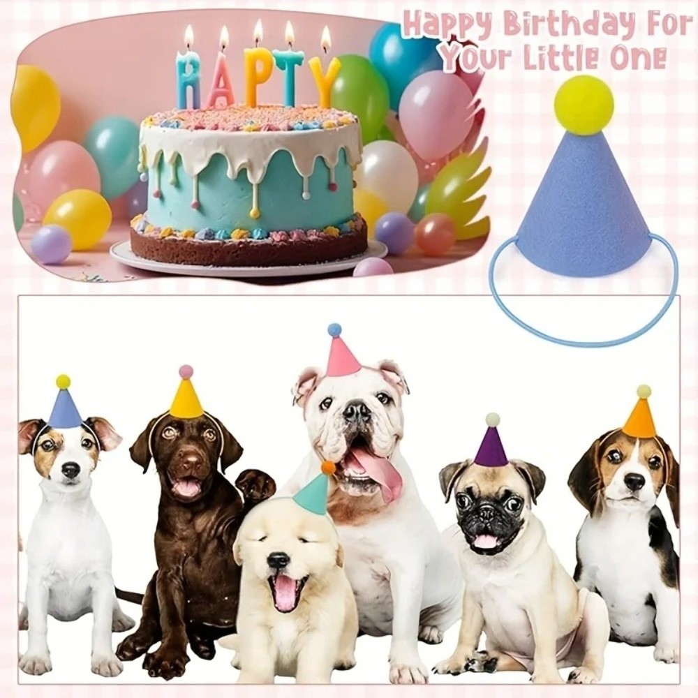 Nieuwe 6-delige set mini-feest - Party Hat Cone recensie en prijs